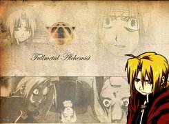 Full Metal Alchemist, postać, facet, twarze