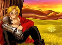 ptaki, Full Metal Alchemist, postać, drzewo, ręka, polana