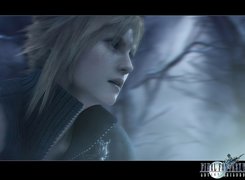 Ff 7 Advent Children, postać, zmierzch