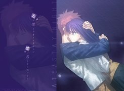 Fate Stay Night, para