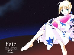 Fate Stay Night, Sukienka