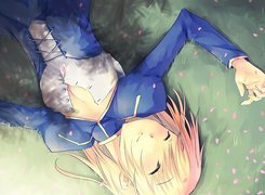 sen, łąka, Fate Stay Night, dziewczyna