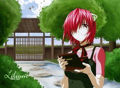 Elfen Lied, pudełko, brama, ptaki,  kobieta