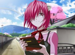 Elfen Lied, pudełko, apaszka, dom, droga, dziewczyna