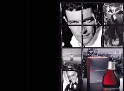 Antonio Banderas, mężczyzna, aktor, perfumy, flakon