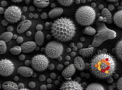 Ubuntu, bakterie, wirusy, krąg, ludzie, symbol