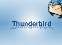 Thunderbird, koperta, grafika, ptak