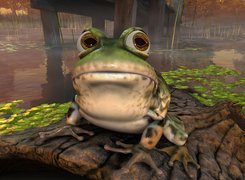 Nvidia, żaba