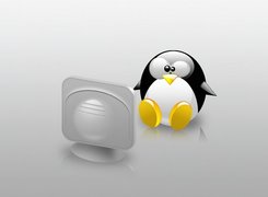 Linux, grafika, monitor, pingwin