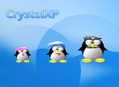 Linux, pingwin, rodzina, czapka, wąsy