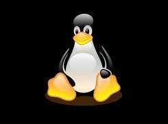 Linux, pingwin, grafika