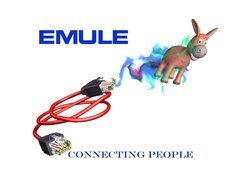 osioł, kabel, Emule