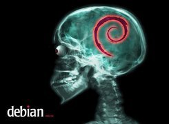 Linux Debian, ślimak, zawijas, muszla, grafika, rentgen, czaszka
