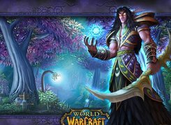 World Of Warcraft, mężczyzna, elf, wojownik, fantasy