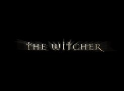 The Witcher, grafika