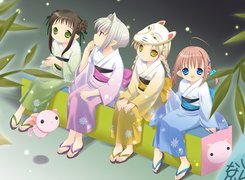 Bottle Fairy, kotek, dziewczyny, kimona