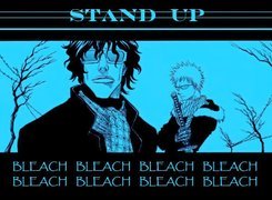 Bleach, stand up, postacie, miecz, napisy