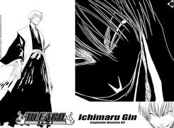 Bleach, postać, napisy, twarz
