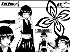 Bleach, dziewczyny, rysunek, napisy