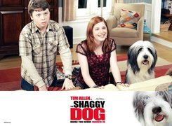 The Shaggy Dog, pies, dzieci, pokój