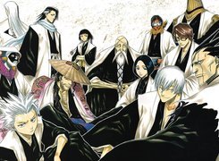 Bleach, ludzie, mistrz