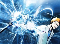 Bleach, postać, facet