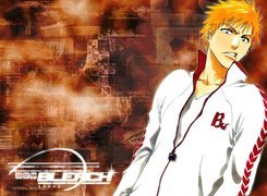 Bleach, fecet, dres