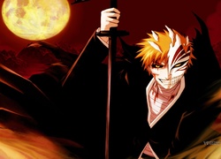 Kurosaki Ichigo, Hollow