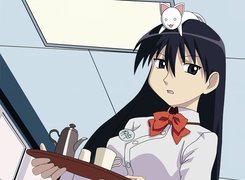 Azumanga Daioh, kobieta, kelnerka, tacka