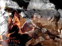 Reaping, Hilary Swank, Idris Elba, krowa