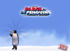 lampka, wina, Farce Of The Penguins