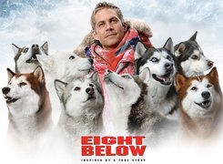 Eight Below, Paul Walker, psy