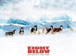 Antarktyda, Eight Below