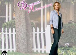 Desperate Housewives, Felicity Huffman, drzewo