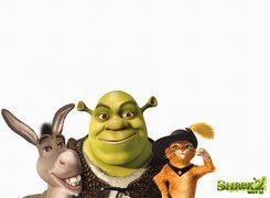 Shrek, osioł, kot, Shrek 2