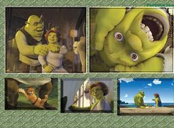 zdjęcia, Shrek 2