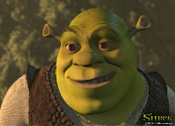 Shrek 1, ogr