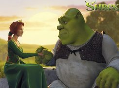 Film animowany, Shrek, Fiona