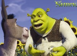 Shrek 1, osioł, Shrek