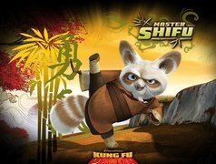 Shifu, Kung Fu Panda