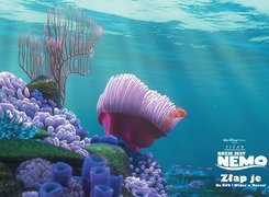 Film animowany, Gdzie jest Nemo, Finding Nemo, Rafa