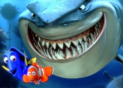 rekin, rybki, Gdzie jest Nemo, Finding Nemo