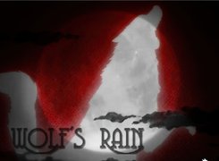 Wolfs Rain, wilk, napis