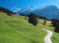Szwajcaria, Góry