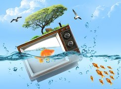 woda, złota rybka, drzewo, telewizor, niebo, ptaki
