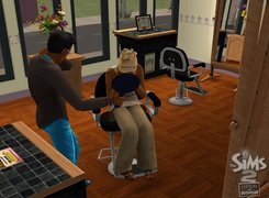The Sims 2, Open Business