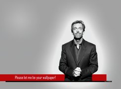 Hugh Lauriego, Wallpaper