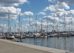 Gdynia, Jachty