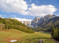 Zakopane, Góry, Łąka