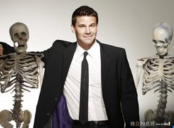 Serial, Bones, Kości, Szkielety, David Boreanaz